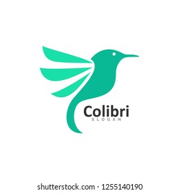 colibri logo template, icon and vector