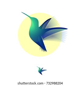 Colibri logo. Tropical bird. Hummingbird on yellow background.