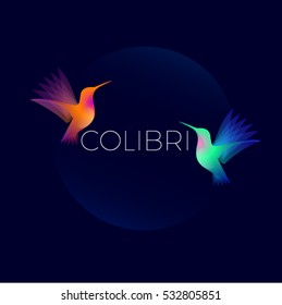 Colibri logo. Two colorful hummingbirds on dark  background.