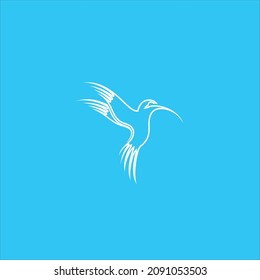 Colibri Logo Vector Line Art Templates