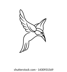 Colibri outline of hummingbird icons. Vector isolated set of flying birds with spread fluttering wings