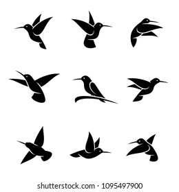 Colibri set. Vector