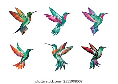 Colibri silhouette silhouette Vector illustration   