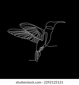 colibri single continuous line vector illustration. Hummingbird one line drawing