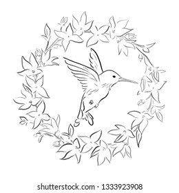 colibri sketch one line draw vector illustration