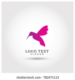 Colibri Symbol and icon Logo Vector Template