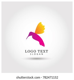 Colibri Symbol and icon Logo Vector Template