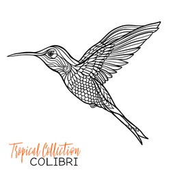 Colibri. Tropical Bird. Vector Illustration. Coloring Book For Adult And Older Children. Coloring Page. Outline Drawing.