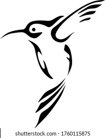 Png de imagen de icono de vector de Colibri