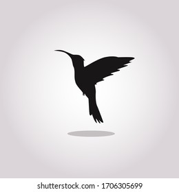 Icono vector Colibri sobre fondo blanco. Símbolo plano de símbolo de colibri vector de la colección de animales modernos para el concepto móvil y el diseño de aplicaciones web.