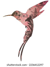 colibri, ilustración vectorial, color rosa