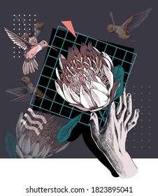 Estilo de arte en grupo. Mano con la flor de protea y Hummingbirds sobre fondo geométrico. Afiche creativo, composición de camisetas, impresión a mano. Ilustración vectorial.