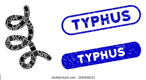 Collage bacillus and distressed stamp seals with Typhus phrase. Mosaic vector bacillus is created with randomized rectangle items. Typhus stamp seals use blue color, and have round rectangle shape.