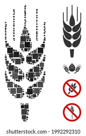 Collage Barley ear icon composed of square items in various sizes and color hues. Vector square items are grouped into abstract collage barley ear icon. Bonus icons are added.
