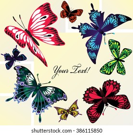 Collage with butterflies flying in a circle