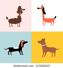Collage of different breeds of dogs