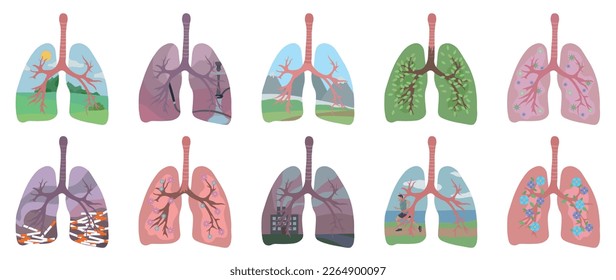 Collage de diferentes pulmones humanos sobre fondo blanco