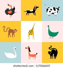 Collage of different kinds of animals