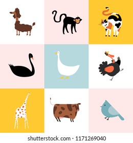 Collage of different kinds of animals