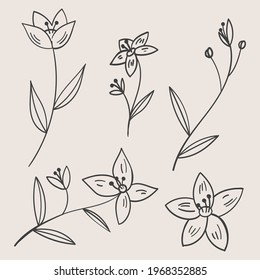 Collage of different parts of a flower. Set of hand drawn plants, leaves, dots, blooms. Minimalist sketches. Isolated on beige. Illustrations for social networks, cover design, interiors, advertising.