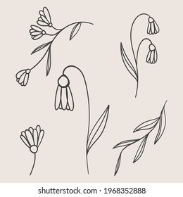 Collage of different parts of a flower. Set of hand drawn plants, leaves, dots, blooms. Minimalist sketches. Isolated on beige. Illustrations for social networks, cover design, interiors, advertising.