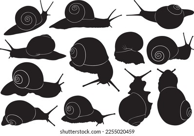 Collage of different snail silhouettes isolated on white