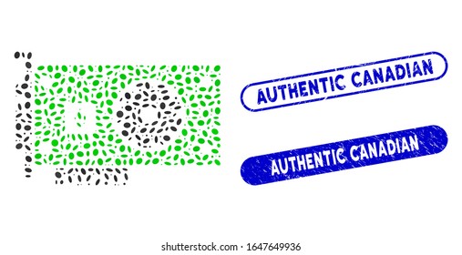 Collage Ethereum GPU videocard and distressed stamp seals with Authentic Canadian text. Mosaic vector Ethereum GPU videocard is created with scattered elliptic items.