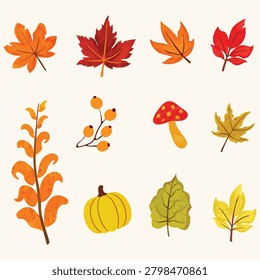 A collage of fall elements including colorful maple leaves, orange berries, a red mushroom, and autumnal foliage arranged on a light background.