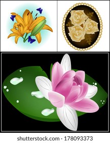 collage of flowers