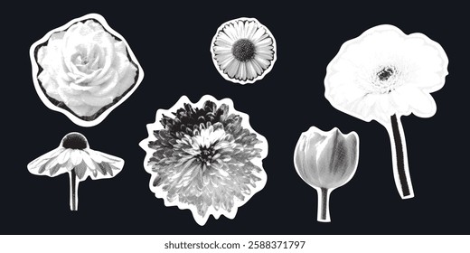 Collage of flowers with halftone effect and photocopy grunge texture, featuring magazine cutouts on a black background. Different floral elements, rose and tulip, dahlia, gerbera, chamomile.