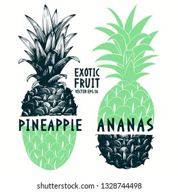 Collage hand drawn pineapple. Vector tropical summer fruit retro engraved style illustration.  