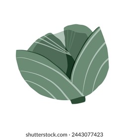 Collage illustration of cabbage, vegetable isolated on white background