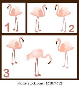 Collage illustrations with cute flamingo in vector