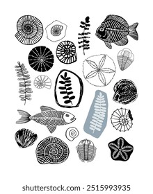 Eine Collage aus komplizierten Fossilienskizzen mit Spiralschalen, detaillierten Fischen und verschiedenen Farn- und Blattmustern in monochromen und gedeckten Tönen.