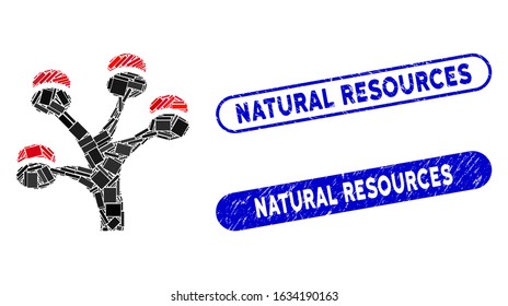 Collage money tree and rubber stamp seals with Natural Resources phrase. Mosaic vector money tree is created with randomized rectangle items. Natural Resources stamp seals use blue color,