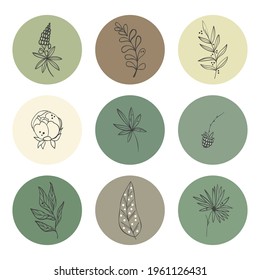 Collage of nine flowers in circles. Set of hand drawn plants, leaves, dots, blooms. Minimalist sketches. Isolated on beige. Illustrations for social networks, cover design, interiors, advertising.