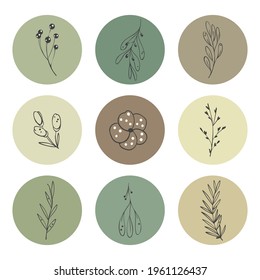 Collage de nueve flores en círculos. Plantas dibujadas a mano, hojas, puntos, flores. Esbozos minimalistas. Aislado en el beige. Ilustraciones para redes sociales, diseño de portadas, interiores, publicidad.
