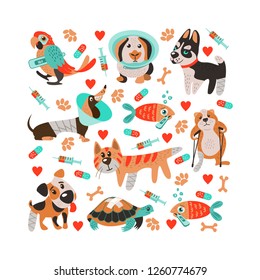 Collage in the shape of a square. Cute sick animals with broken legs and fever. In a cartoon style. Cute template for veterinary clinics, veterinary pharmacies and animal shelters.