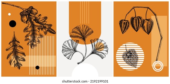 Collage style autumn vector illustration. Hand-drawn leaves and dried flowers sketch. Trendy fall design with botanical, geometric shapes, and abstract elements. For print, poster, card, social media