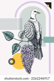 Collage style dove vector illustration. Hand-drawn bird on blooming lilac branches with flowers and leaves. Trendy design with pigeons, botanical sketches, geometric shapes, and abstract elements 