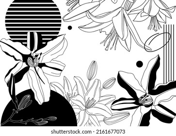 Ilustración vectorial de flores de lirio estilo collage. Flores negras esbozadas a mano. Diseño moderno con contornos botánicos, formas geométricas, elementos abstractos. Impresión floral, afiche, medios sociales, arte mural.