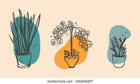 Collage of three flowers. Set of hand drawn plants, leaves, dots, blooms. Minimalist sketches. Isolated on beige. Illustrations for social networks, cover design, interiors, advertising, backgrounds.