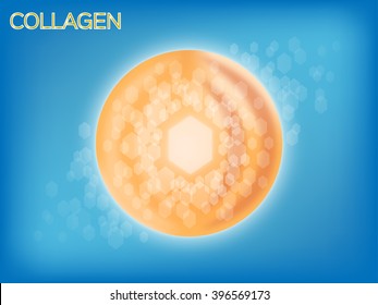 collagen and cell graphic inside , icon and logo and vector