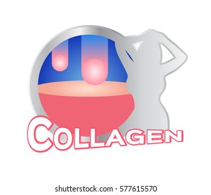 collagen icon vector and a women shape