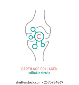 Collagen line icon. Connective tissue protein pictogram. Elastin production sign. Editable stroke. Medical symbol in outline style. Wellness concept. Vector illustration isolated on a white background