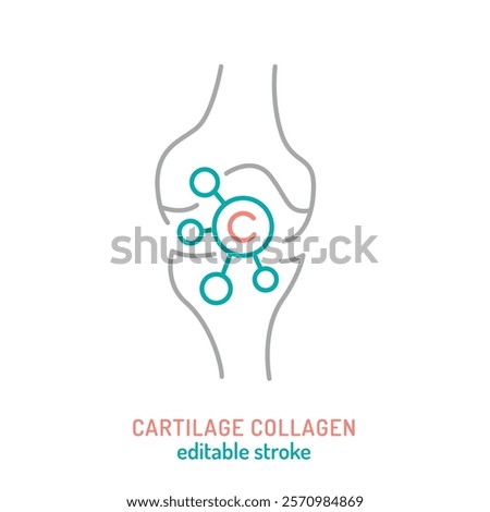 Collagen line icon. Connective tissue protein pictogram. Elastin production sign. Editable stroke. Medical symbol in outline style. Wellness concept. Vector illustration isolated on a white background
