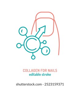 Colágeno para unhas ícone de linha. Importante pictograma de proteínas. Sinal de produção de Elastin. Traçado editável. Símbolo médico em estilo de estrutura de tópicos. Conceito de bem-estar. Ilustração vetorial isolada no plano de fundo branco