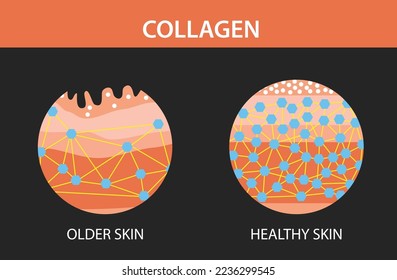 Collagen, older skin and  hearlthy skin ,Protection Skin, vector design