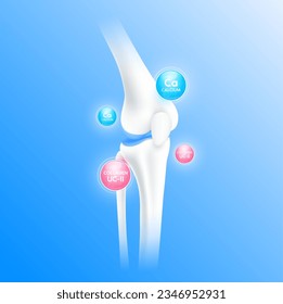 Collagen pink and Calcium blue surround bone cartilage. Vitamins minerals care bone knee joint. Healthy human skeleton anatomy isolated on blue background. Realistic 3D vector.