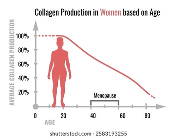 Collagen production in women based on age. Medical, healthcare infographics. Important information. Menopause problem. Editable vector illustration isolated on a white background. Horizontal banner